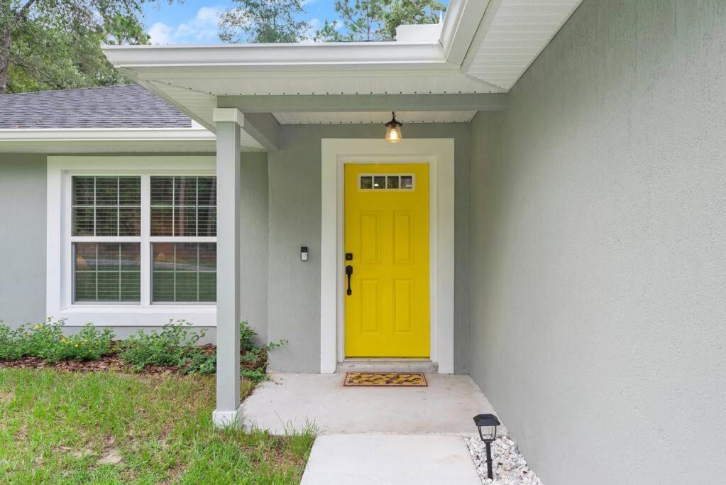 Pet-Friendly, Heated Pool, Close To Everything 3 Bedroom Home ダネロン エクステリア 写真