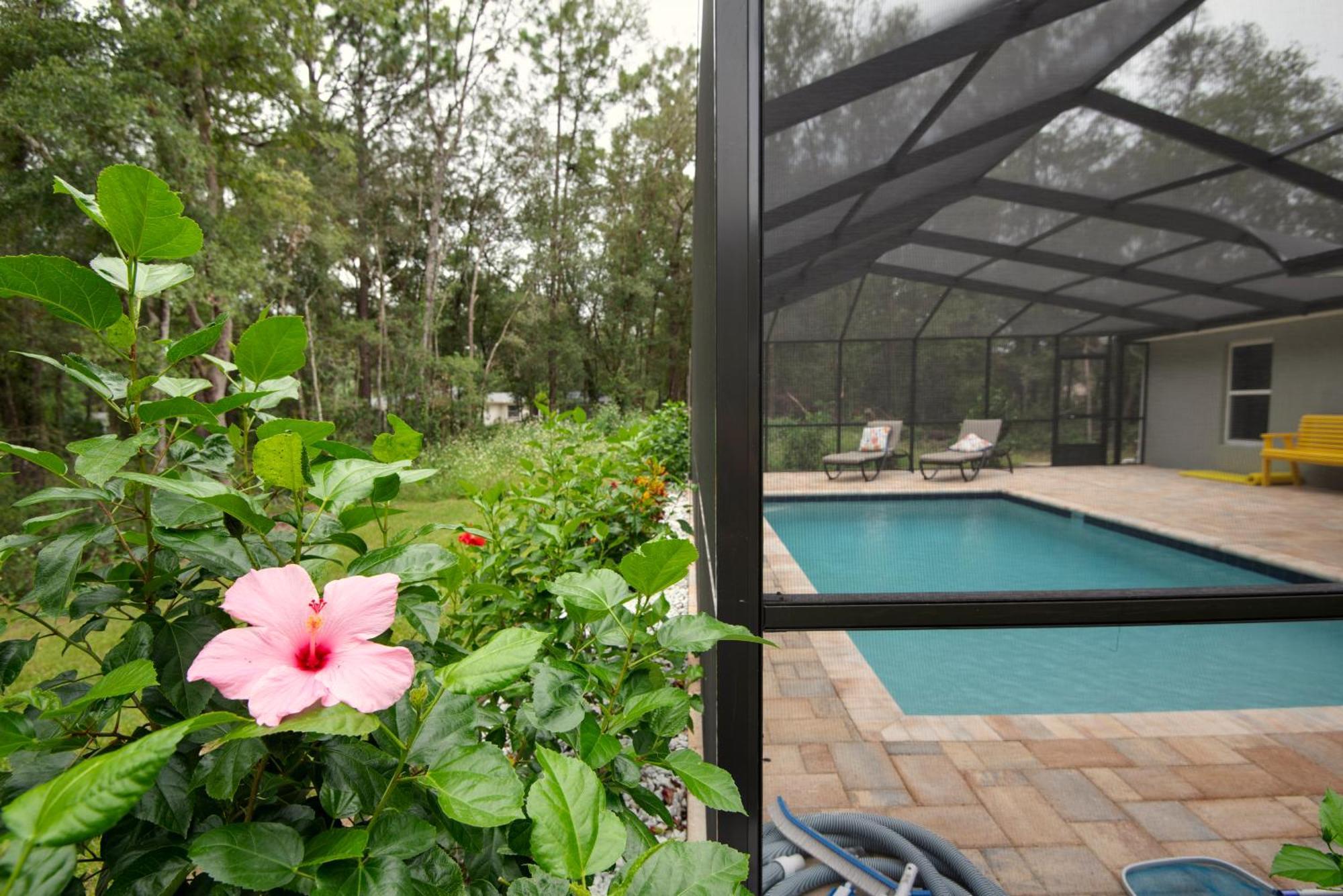 Pet-Friendly, Heated Pool, Close To Everything 3 Bedroom Home ダネロン エクステリア 写真
